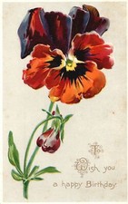To Wish You A Happy Birthday Flower Painting Greetings Tuck's Postcard 1910