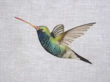 HARLEQUIN CURTAIN FABRIC DESIGN "Amazilia" FLAMINGO/PAPAYA/APPLE  3 METRES VOILE