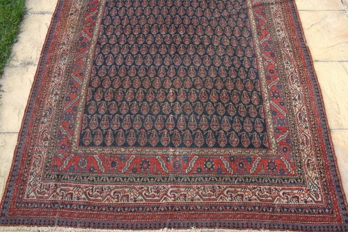 Antique Persiann Caucasian Bidjar Bijar hand knotted lambs wool 300 x 170 cm - Picture 8 of 12