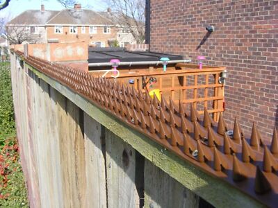 5M 26M Vogelabwehr Kunststoff Taubenabwehr Spikes Bird Taubenspikes Vogelschutz