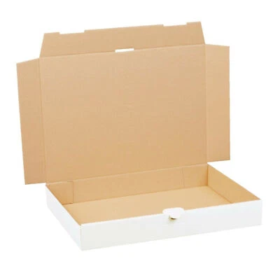 Maxibriefkartons Warensendung Faltkarton 350 x 250 x 50 mm weiss DIN A4 B4 DHL