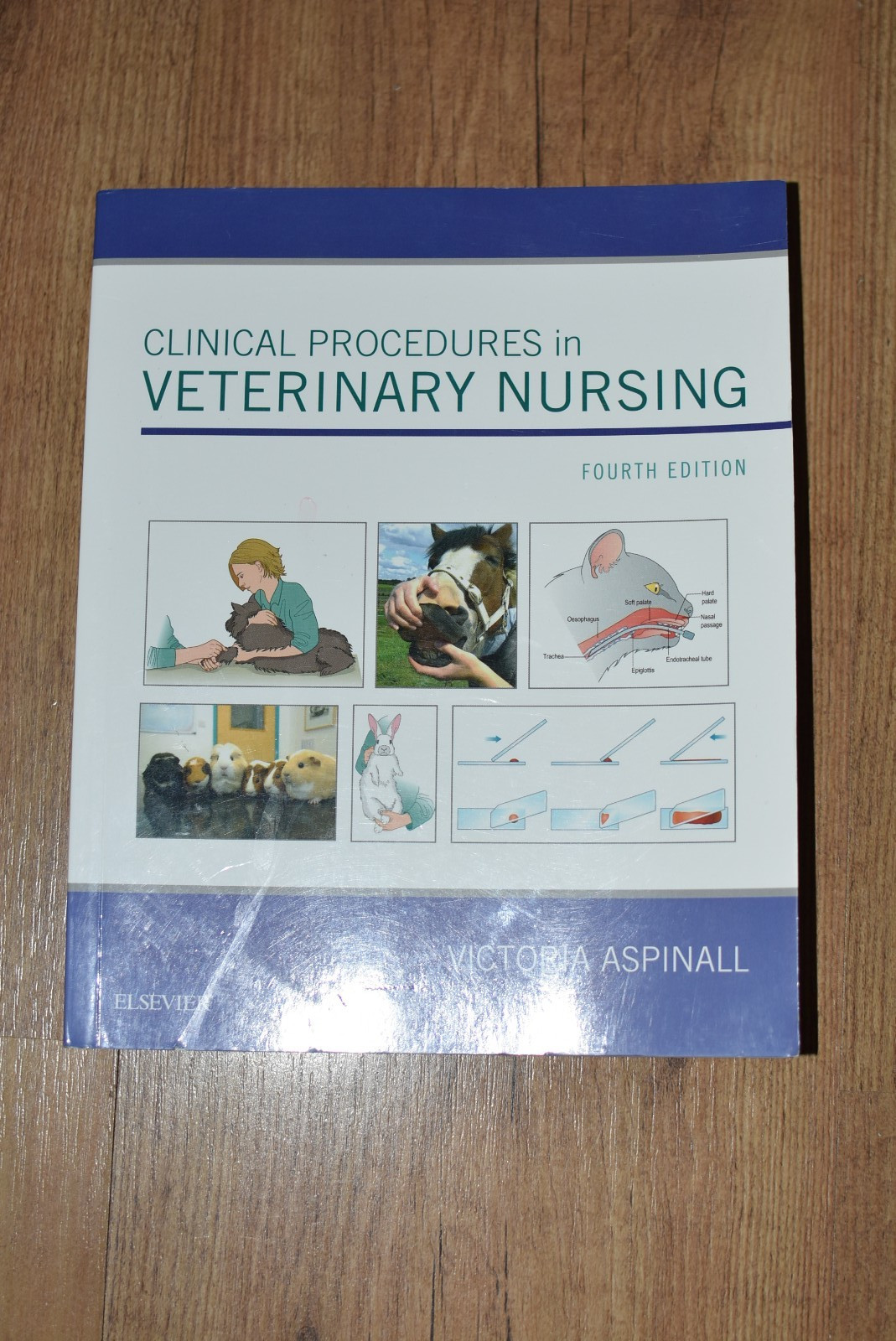 Clinical Procedures in Veterinary Nursing by Victoria Aspinall - 9780702073960 - Image 9