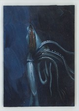 2013 Viceroy Carnival Trading Cards 2