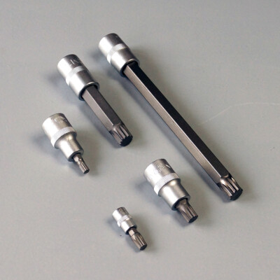Bit Einsatz Innenvielzahn Stecknuss XZN Vielzahn M4 - M18, Nuss 1/4'', 3/8'', 1/2''