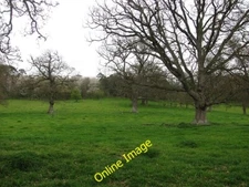 Photo 6x4 Homend Park Stretton Grandison  c2012