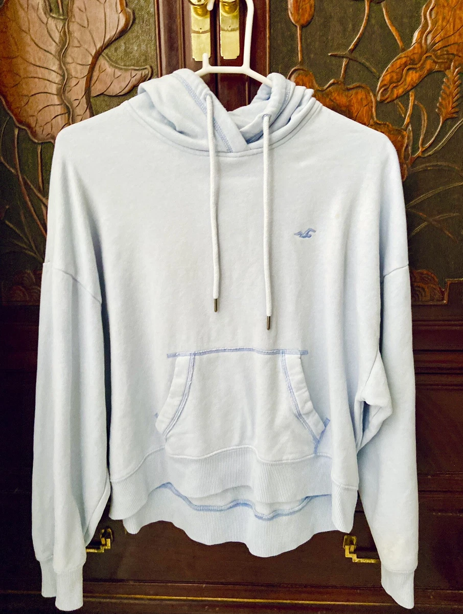 Baby blue sales hollister hoodie