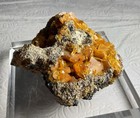 Wulfenite Crystals - Mammoth-St. Anthony Mine, Tiger, Arizona - About 3.5” — photo 8