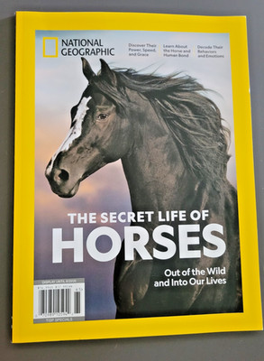 The Secret Life Of Horses by National Geographic - Out of Wild & Into Our Lives