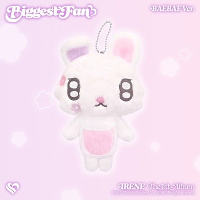 IRENE BIGGEST FAN 1st Album BAEBAE Ver/NFC+KeyRing+Book+Poster+2 Photo Card+GIFT