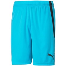 Spodenki mskie Puma teamLIGA bkitne 704924 40 2XL