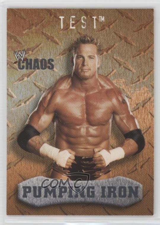2004 Fleer WWE Chaos Pumping Iron Test #90 un2