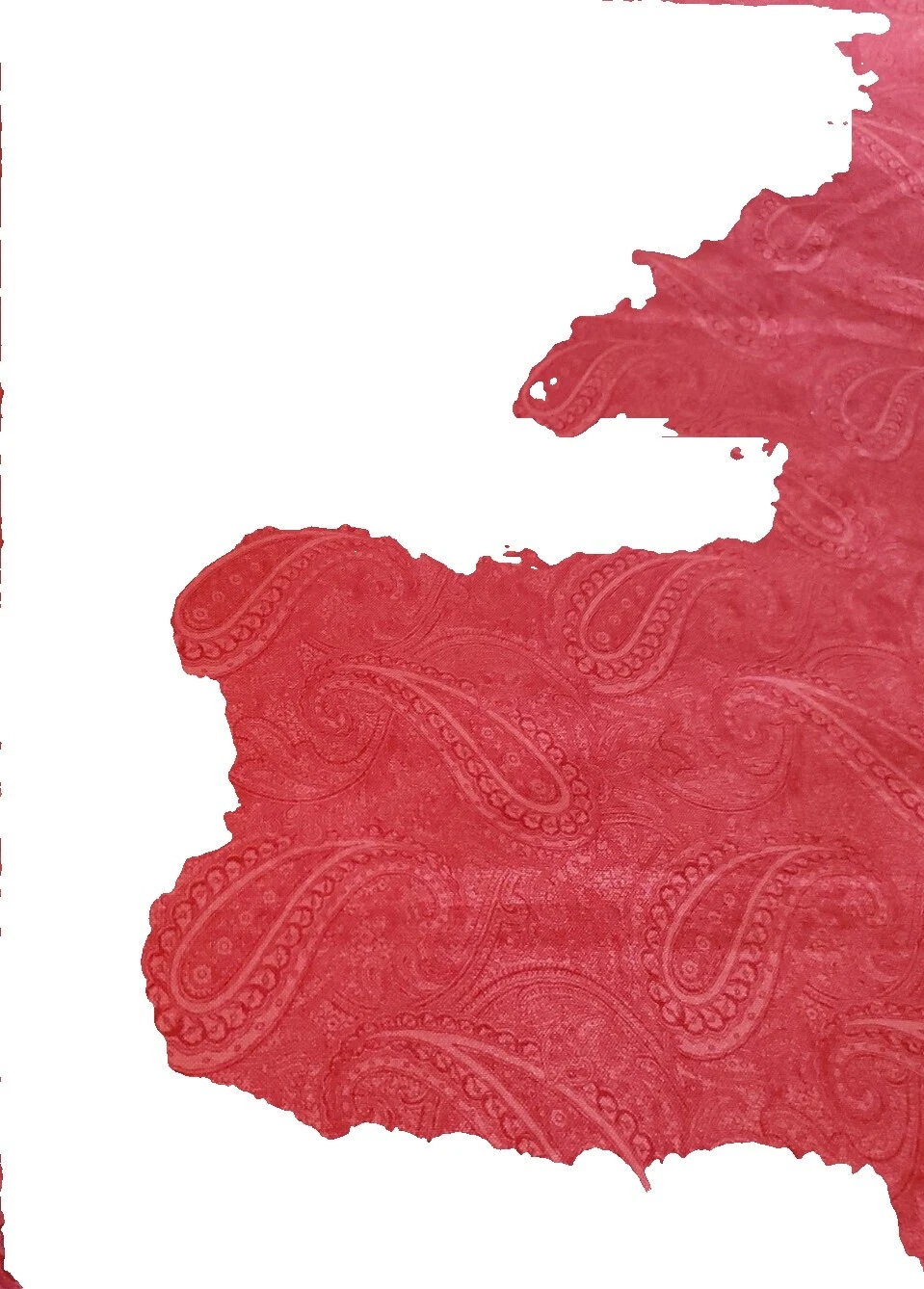 Moda Paisley Craft Sewing