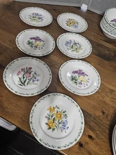 Set of 7 Thomson Pottery Floral Garden Salad Dessert Plates Dishes 7.5" Diam