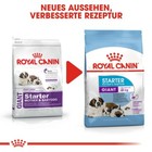 Bild 6 von 10