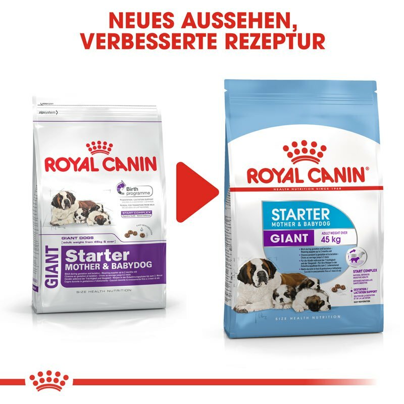 Bild 6 von 10