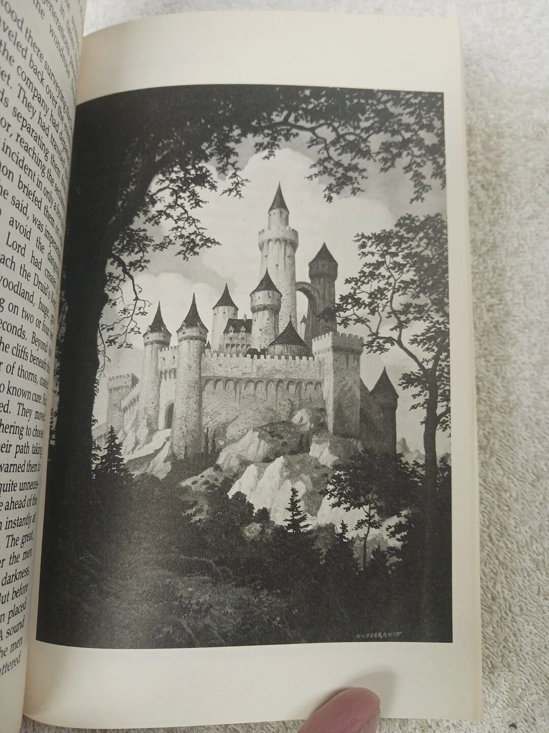 Picture 14 of 24