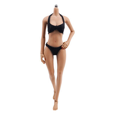 1/6 Female Figure Body Model Medium/Large Bust Pale/Suntan Four Type Optional