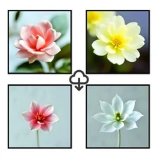 Set 4 Realistic Digital Wall Art Print Modern Home Decor Printable Instant #24