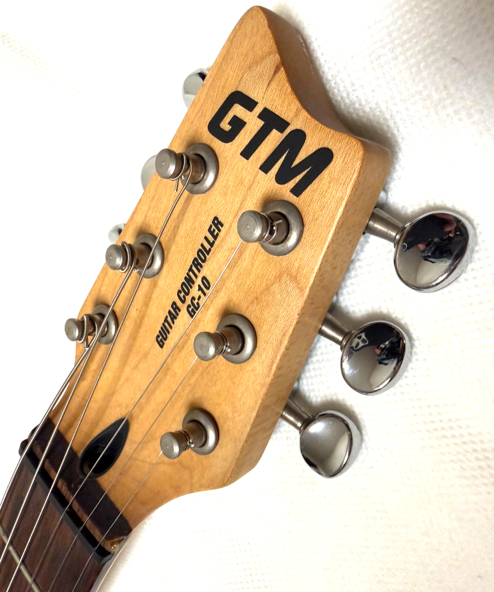 Roland GTM GC-10 GK Guitar Synthesizer Made in Japan | eBay