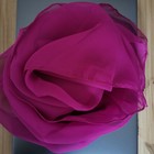 Bild 9 von 17