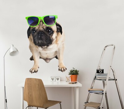 3D Hund Sonnenbrille M349 Tier Wallpaper Wandbild Poster Wandaufkleber Zoe