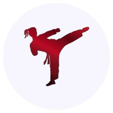 24 x 'Karate Kick' Stickers SK00036105 
