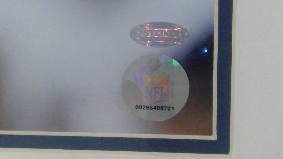 Eli Manning New York Giants TOUCHDOWN Firmado 16X20 STEINER CERTIFICADO DE AUTENTICIDAD 2007 ENVÍO GRATUITO Foto 3 de 4