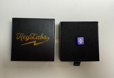 KeyLabs Artisan Mechanical Keyboard Keycap Blue/Pink Resin MX Stem New