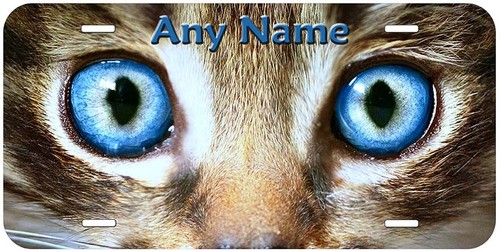 Matrícula de coche novedad personalizada con ojos de gato cualquier nombre texto - Imagen 19 de 24