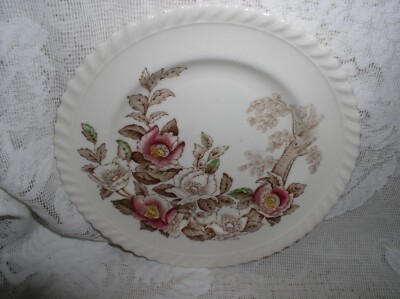 Bread Cake Plate Johnson Brothers Bros Appleblossom Brown Floral Flowers