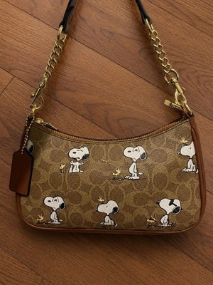Coach x Peanuts Snoopy Woodstock Small Shoulder/Crossbody Bag Chain Strap Zip