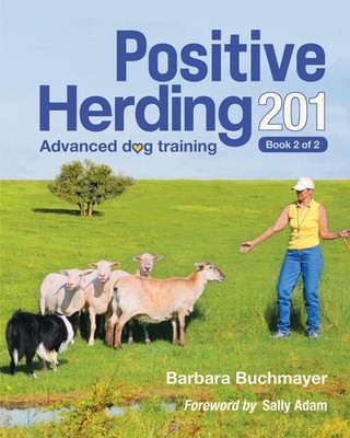 Positive Herding 201 Barbara Buchmayer Taschenbuch Positive Herding Dog Englisch