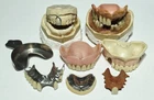 Antique Vintage Dental Lot Stone Cast Molds Trays Early Lab Teeth Oddities