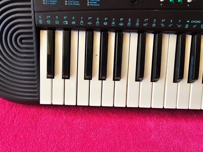 Casio CTK-330 49 Key 100 Tone 50 Rhythm Portable Piano Keyboard 20