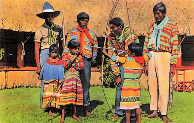 Boy Scout at Seminole Hollywood Dania Reservation Tribe Florida Vtg Postcard F50