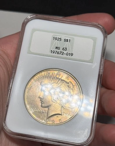 1925 Silver Peace Dollar NGC MS63 FattyDual Side Toning Great Eye Appeal
