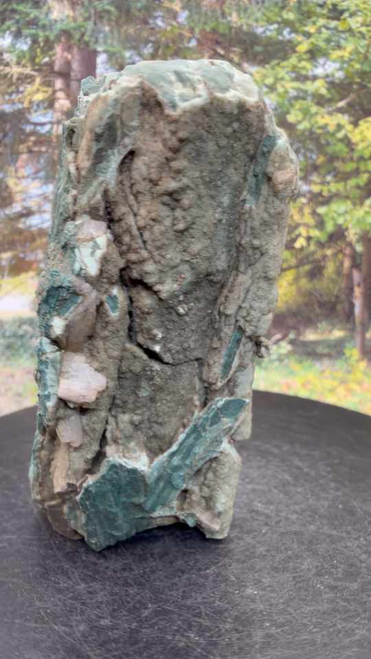 Unique Crystallized Fossil Limb Cast – Druzy Quartz in Green Chalcedony ...