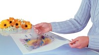 Herma Folienetiketten, Transparent, A3, 297 X 420 Mm
