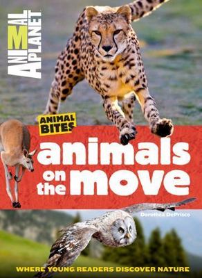 Animals on the Move [Animal Planet Animal Bites]