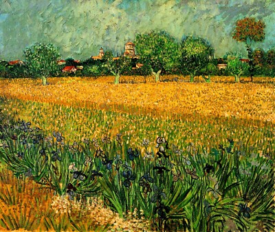 View of Arles with Irises in the Foreground by Van Gogh Giclee Repro on Canvas