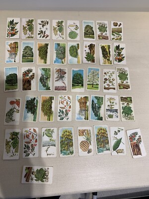 Brooke Bond Tea Cards - Trees of Britain