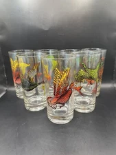 VTG 7 Boscul Wild Geese, Quail, And Pheasant Tumbler Drinking Glasses 12oz.