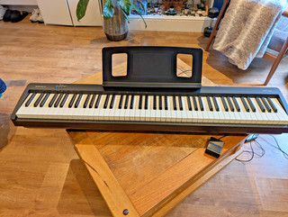 Roland FP 10 88 Key Digital Piano