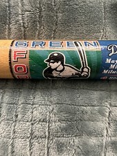 2002 Shawn Green Los Angeles Dodgers Mini 18