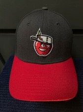 MiLB Fort Wayne TinCaps Gray/Red New ERA 39THIRTYFlex Fit Hat Size: Small/Medium