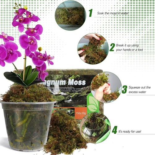 Dried Forest Moss for Plants (5 Qt / 1 Pack), Sphagnum Potting Moss for Various - Picture 4 of 7