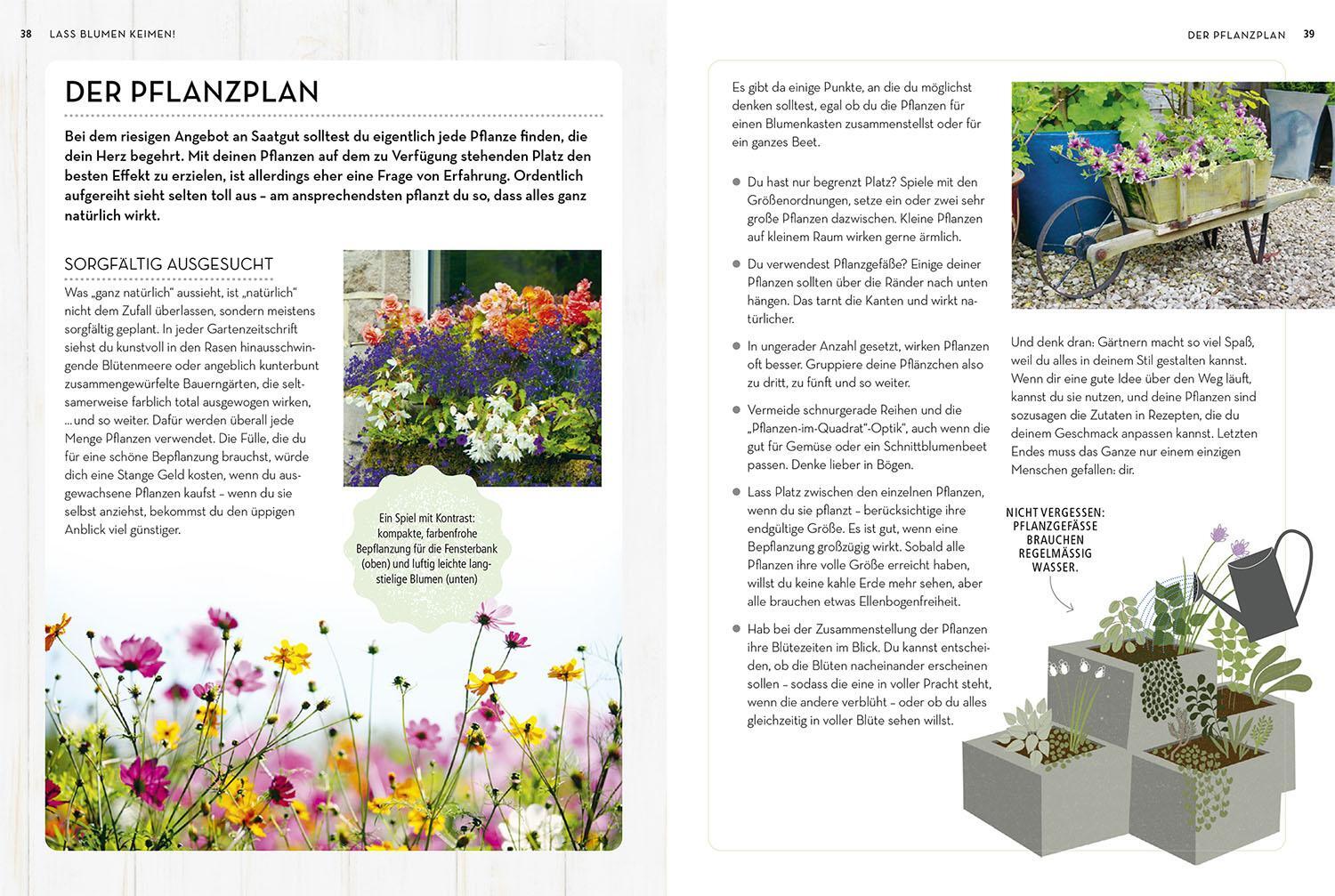 Thumbnail - Samenwunder, Sophie Collins