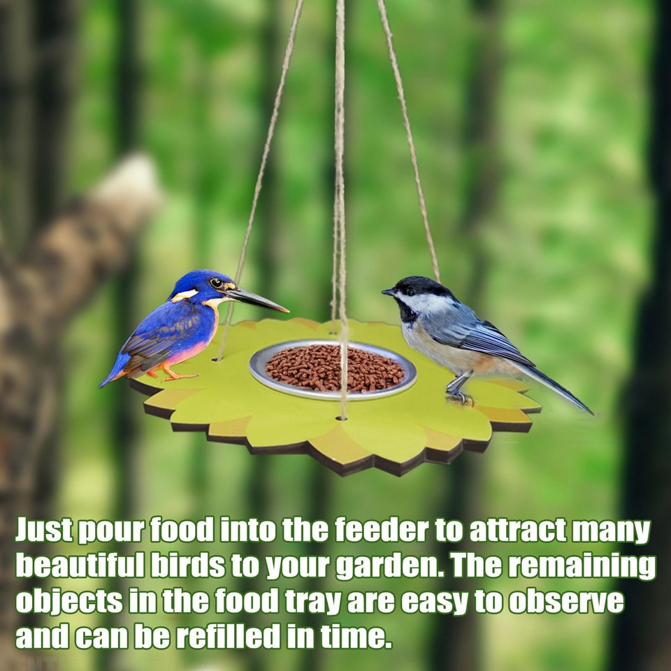 Hangings Bird Feeder Wild Bird Feeders For Garden Bird Feeder Pole