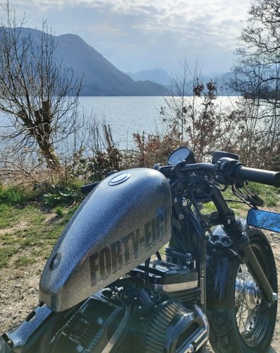 Harley Davidson 48 1200cc Custom Low Miles 2014 Decat 💥 - Picture 7 of 11