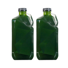 Premium Live Phytoplankton Nano - 1/2 Gal - Fast Free Shipping Premium Phyto